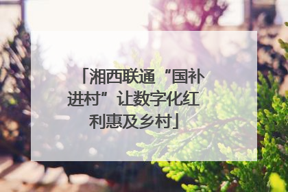 湘西联通“国补进村”让数字化红利惠及乡村