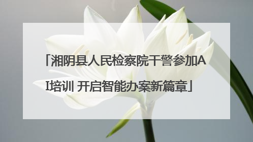 湘阴县人民检察院干警参加AI培训 开启智能办案新篇章