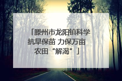 滕州市龙阳镇科学抗旱保苗 力保万亩农田“解渴”