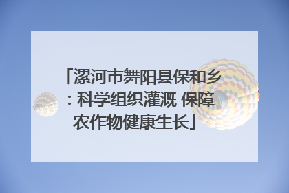 漯河市舞阳县保和乡：科学组织灌溉 保障农作物健康生长