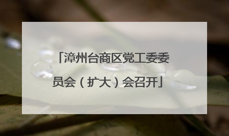 漳州台商区党工委委员会（扩大）会召开