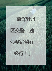 菏泽牡丹区交警：违停整治势在必行！