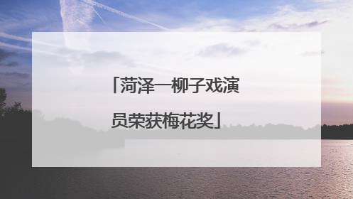菏泽一柳子戏演员荣获梅花奖
