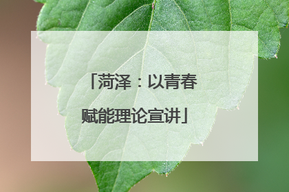 菏泽：以青春赋能理论宣讲