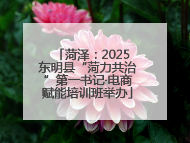 菏泽：2025东明县“菏力共治”第一书记·电商赋能培训班举办