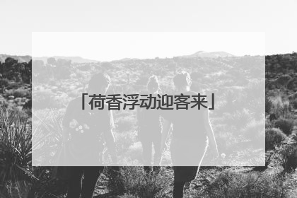 荷香浮动迎客来