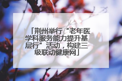 荆州举行“老年医学科服务能力提升基层行”活动，构建三级联动健康网