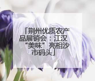 荆州优质农产品展销会：江汉“美味”亮相沙市码头