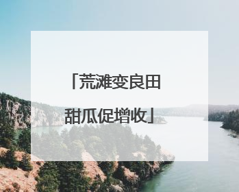 荒滩变良田 甜瓜促增收