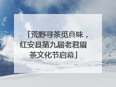 荒野寻茶觅真味，红安县第九届老君眉茶文化节启幕
