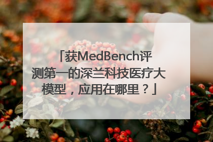 获MedBench评测第一的深兰科技医疗大模型，应用在哪里？