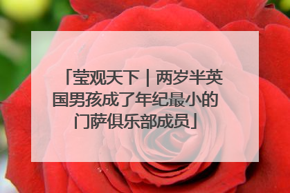 莹观天下｜两岁半英国男孩成了年纪最小的门萨俱乐部成员