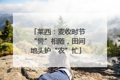 莱西：麦收时节“警”相随，田间地头护“农”忙