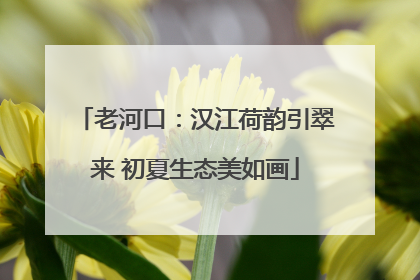 老河口：汉江荷韵引翠来 初夏生态美如画