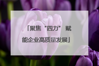 聚焦“四力” 赋能企业高质量发展