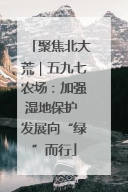 聚焦北大荒｜五九七农场：加强湿地保护 发展向“绿”而行