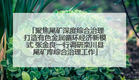 聚焦尾矿深度综合治理 打造有色金属循环经济新模式 张金良一行调研栾川县尾矿库综合治理工作