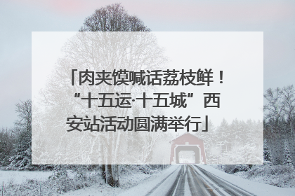 肉夹馍喊话荔枝鲜！“十五运·十五城”西安站活动圆满举行
