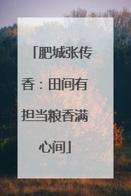 肥城张传香：田间有担当粮香满心间
