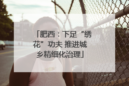 肥西：下足“绣花”功夫 推进城乡精细化治理