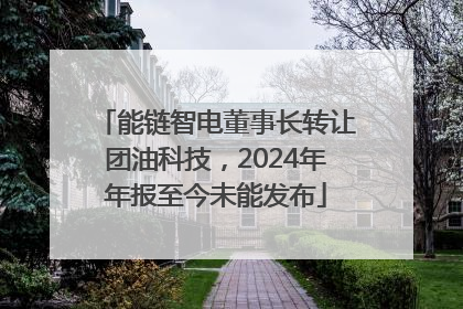 能链智电董事长转让团油科技，2024年年报至今未能发布