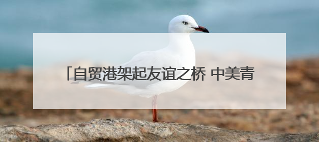 自贸港架起友谊之桥 中美青少年海南开启文化对话之旅
