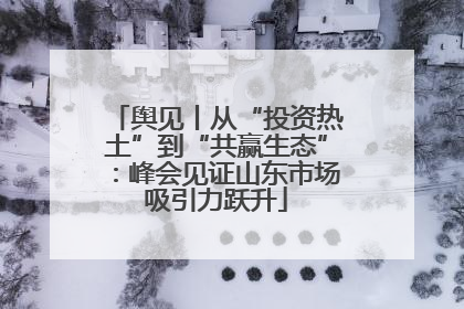 舆见丨从“投资热土”到“共赢生态”：峰会见证山东市场吸引力跃升