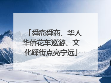 舜裔舜商、华人华侨花车巡游、文化踩街点亮宁远