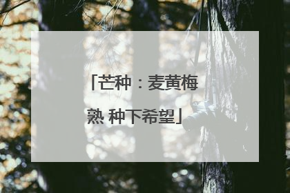 芒种：麦黄梅熟 种下希望