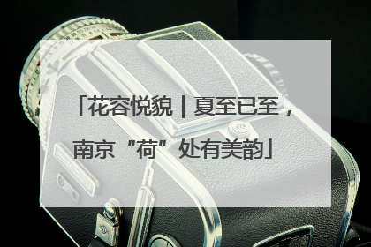 花容悦貌｜夏至已至，南京“荷”处有美韵