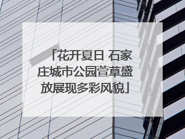 花开夏日 石家庄城市公园萱草盛放展现多彩风貌