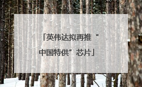 英伟达拟再推“中国特供”芯片