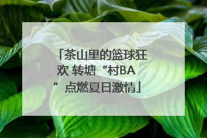 茶山里的篮球狂欢 转塘“村BA”点燃夏日激情