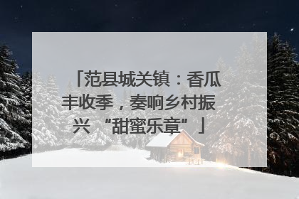 范县城关镇：香瓜丰收季，奏响乡村振兴 “甜蜜乐章”