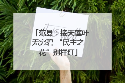 范县：接天莲叶无穷碧 “民主之花”别样红