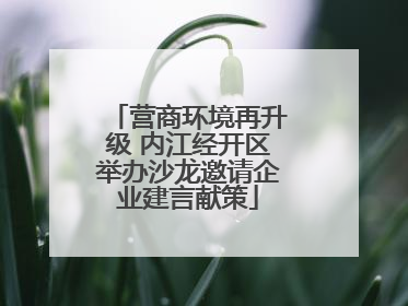 营商环境再升级 内江经开区举办沙龙邀请企业建言献策