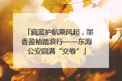 藏蓝护航乘风起，墨香盈袖踏浪行——东海公安圆满“交卷”