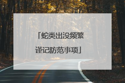 蛇类出没频繁 谨记防范事项