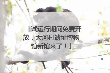 试运行期间免费开放，大河村遗址博物馆新馆来了！