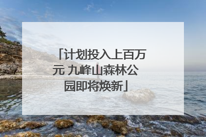 计划投入上百万元 九峰山森林公园即将焕新
