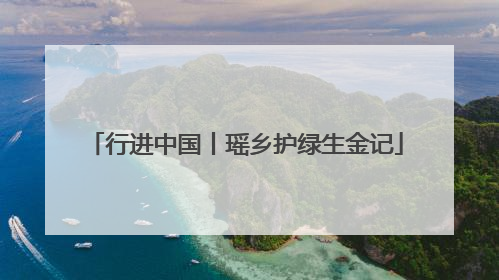 行进中国丨瑶乡护绿生金记