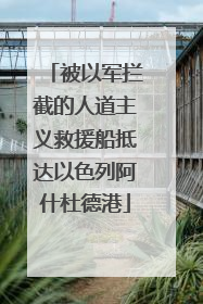 被以军拦截的人道主义救援船抵达以色列阿什杜德港
