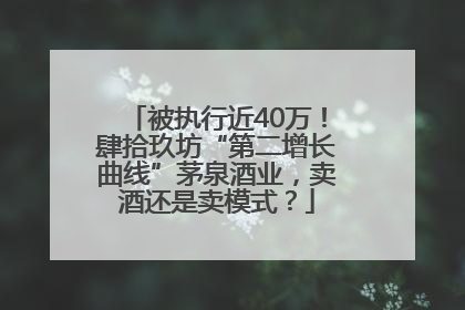 被执行近40万！肆拾玖坊“第二增长曲线”茅泉酒业，卖酒还是卖模式？
