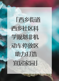 西乡街道西乡社区科学规划非机动车停放区 助力打造宜居家园