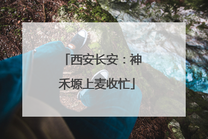 西安长安：神禾塬上麦收忙