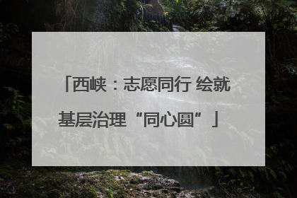 西峡：志愿同行 绘就基层治理“同心圆”