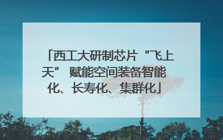 西工大研制芯片“飞上天” 赋能空间装备智能化、长寿化、集群化