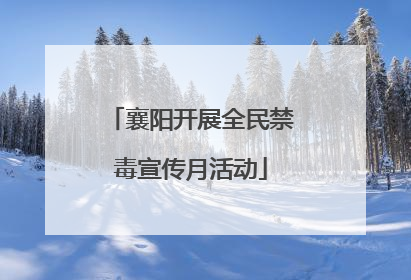 襄阳开展全民禁毒宣传月活动