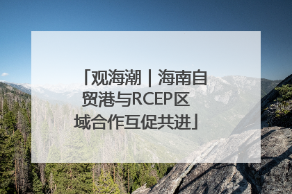 观海潮｜海南自贸港与RCEP区域合作互促共进