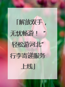 解放双手，无忧畅游！“轻松游河北”行李寄递服务上线
